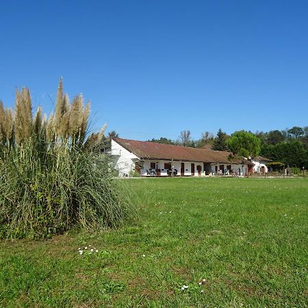 Domaine Les Hirondelles Lucky Villa Domessin ภายนอก รูปภาพ